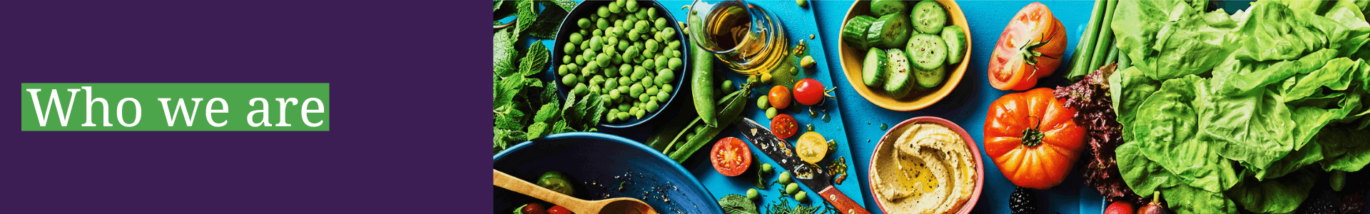 Who we are - desktop EN